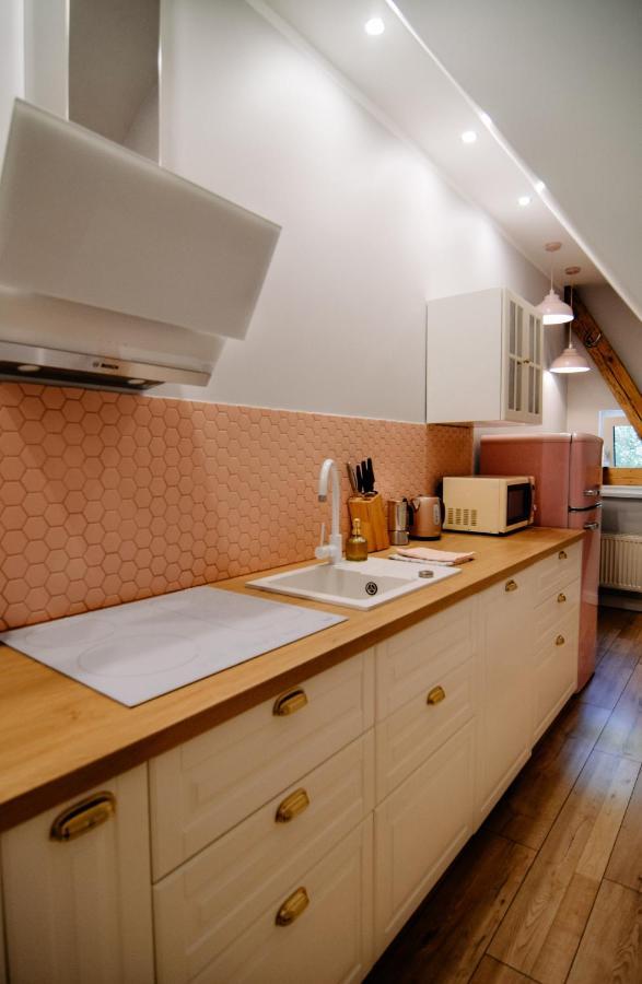 Staszica16 Apartment Zloty Stok Luaran gambar